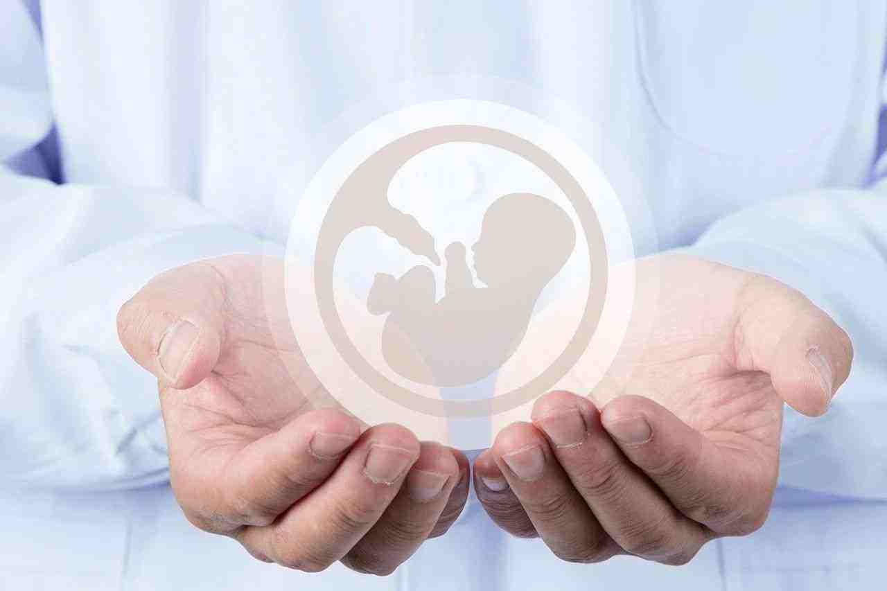  广州借卵试管多少钱-IVF前的叶酸代谢测试需要多少钱？试管婴